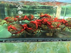 -聚鲜阁海鲜美食城(香水湾店)