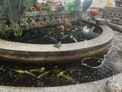 -夏家大锅台炖鱼馆