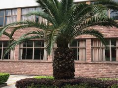 -复旦大学光华楼