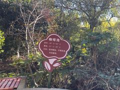 -大理地热国