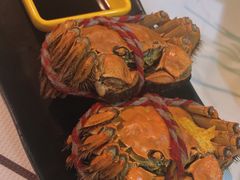 -云晓光头烧烤吧(德平路店)