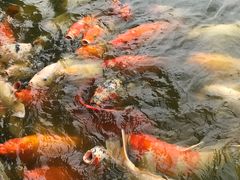 景点-月牙潭公园