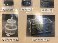 -上海昆虫博物馆