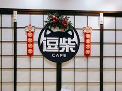 -逗柴咖啡屋·狗咖猫咖宠物桌游