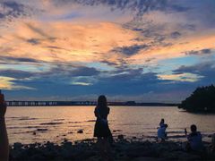 -宝安西湾红树林湿地公园