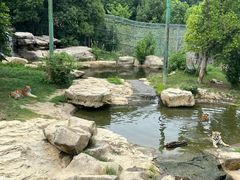 -常州淹城野生动物世界