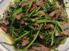 -壹盏灯(惠农店)
