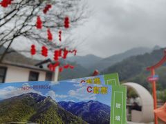 -南丹山森林王国