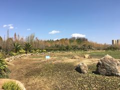 -洛龙公园