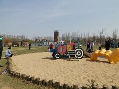 -上海长兴岛郊野公园