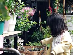 -溪岸路花鸟市场