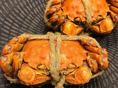 -新发展亚太JW万豪酒店·福苑咖啡厅