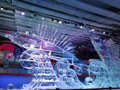 -宁波冰雪大世界(北仑区)