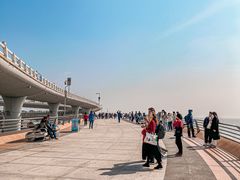 -演武大桥观景平台