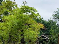 -驿舍·民國老营房院子私房菜(科学会堂店)