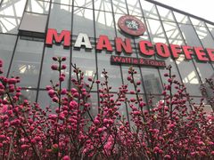 -Maan coffee漫咖啡(1905店)