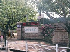 -嘉定紫藤园