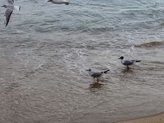 -海云台海滩