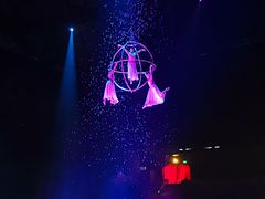 -珠海横琴长隆《卡卡虎奇遇记》