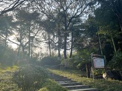-菊花台公园