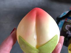 -渭南桃花源民俗文化园