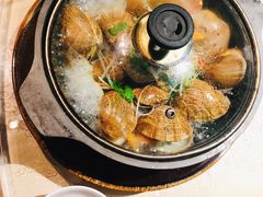 石锅黄蚬子-金海湾海鲜总店