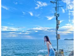 -广东惠东海龟国家级自然保护区