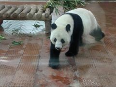 -广州动物园