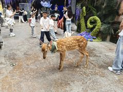 -哈尔滨波塞冬海底世界