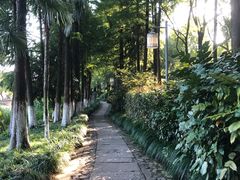 -八卦田遗址公园