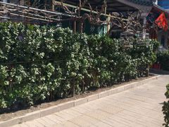 -新月斋(豆瓣胡同店)