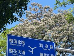 -武汉大学-樱园