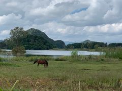 -夏屿湖畔.落日湖景餐厅(普者黑景区店)