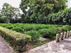 -十九路军淞沪抗日阵亡将士陵园