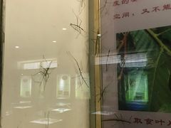 -上海昆虫博物馆