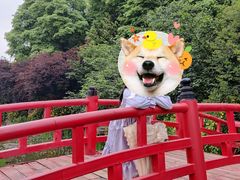 -秀丽东方