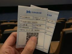 -红星电影世界上海张江绿地店