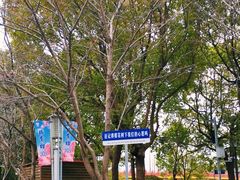 -高东镇樱花园