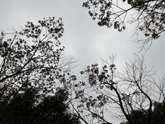 -宁波野生动物园