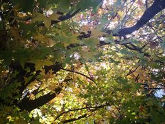-蟒山国家森林公园天池停车场