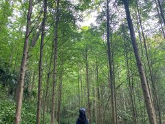 -凤栖山