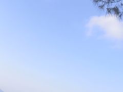 -广东惠东海龟国家级自然保护区
