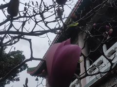 -广东圆玄道观