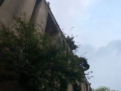 -灶丰年间(定安路店)