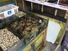 -粤盛海鲜平价店(洛溪食街店)