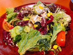 蔬菜养生沙拉-布拉格餐厅· 中欧捷克菜(全国首店)