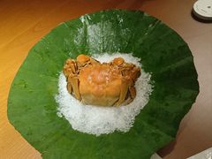 -觀芷隐轩