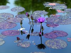 -国家植物园南园