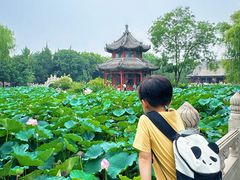 -莲池书院博物馆