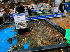 波士顿龙虾-盒马鲜生(皇庭广场店)